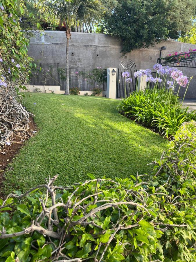Appartamento Dream Garden Santa Cruz de Tenerife Esterno foto