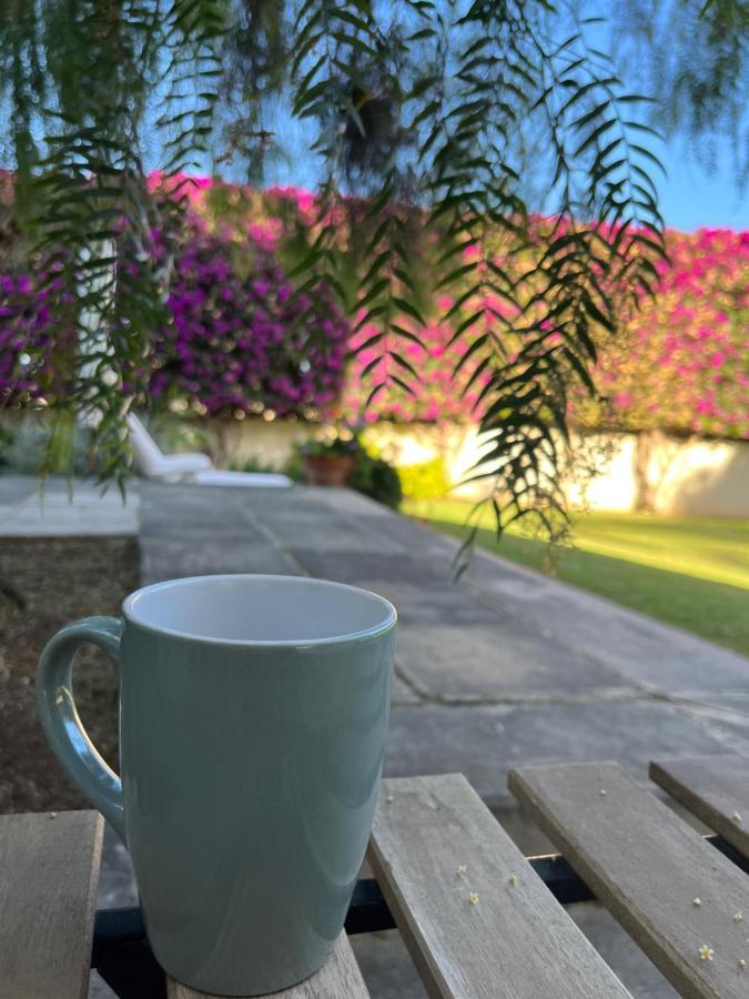 Appartamento Dream Garden Santa Cruz de Tenerife Esterno foto