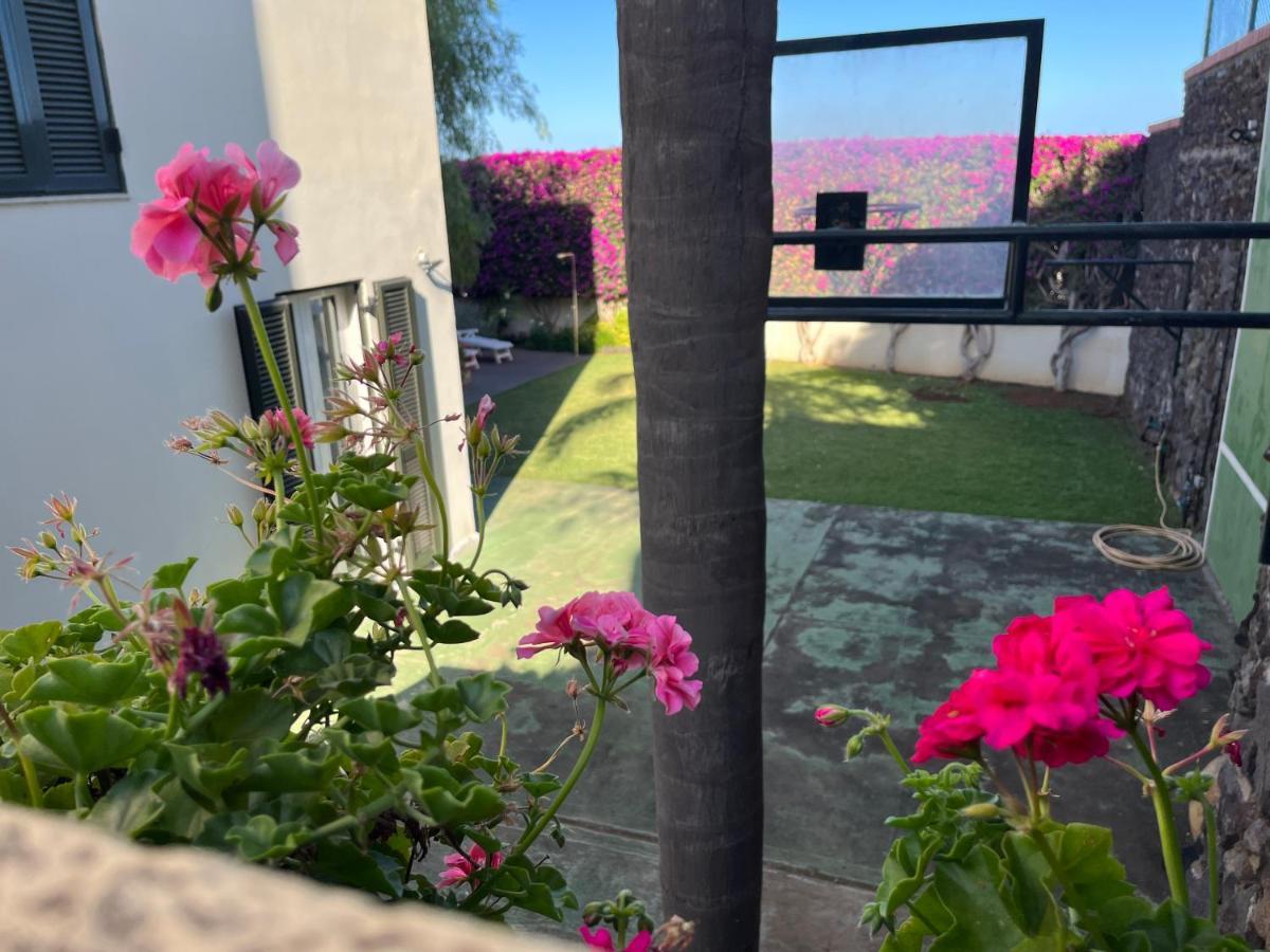Appartamento Dream Garden Santa Cruz de Tenerife Esterno foto