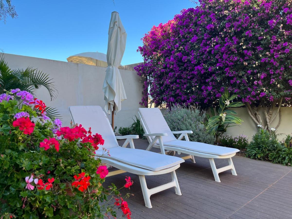 Appartamento Dream Garden Santa Cruz de Tenerife Esterno foto