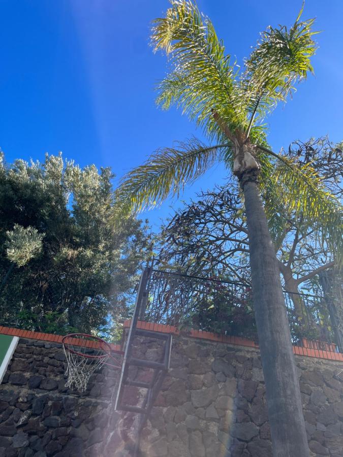 Appartamento Dream Garden Santa Cruz de Tenerife Esterno foto